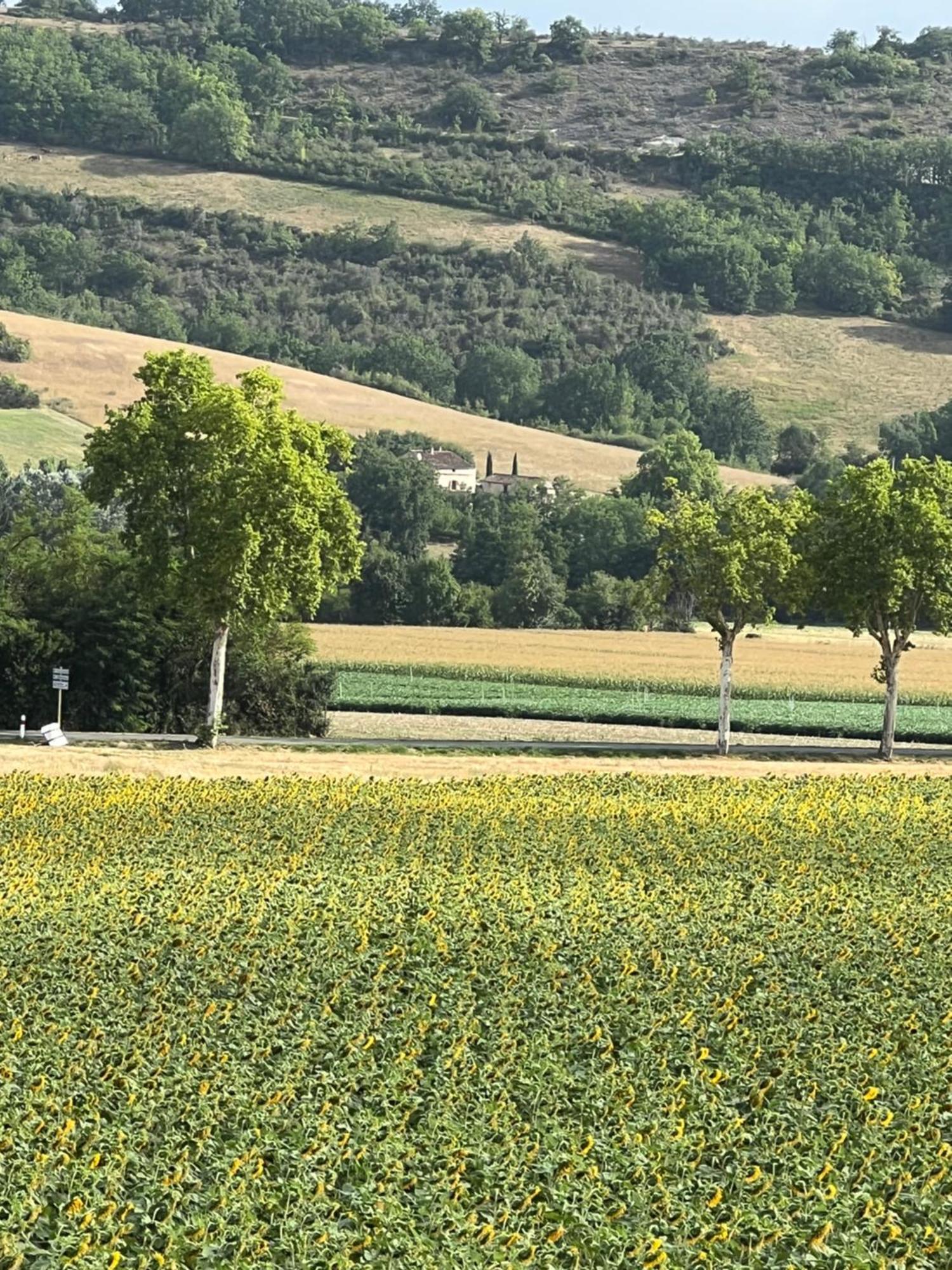 La Bastide De La Bogne Bed & Breakfast Vindrac-Alayrac Dış mekan fotoğraf